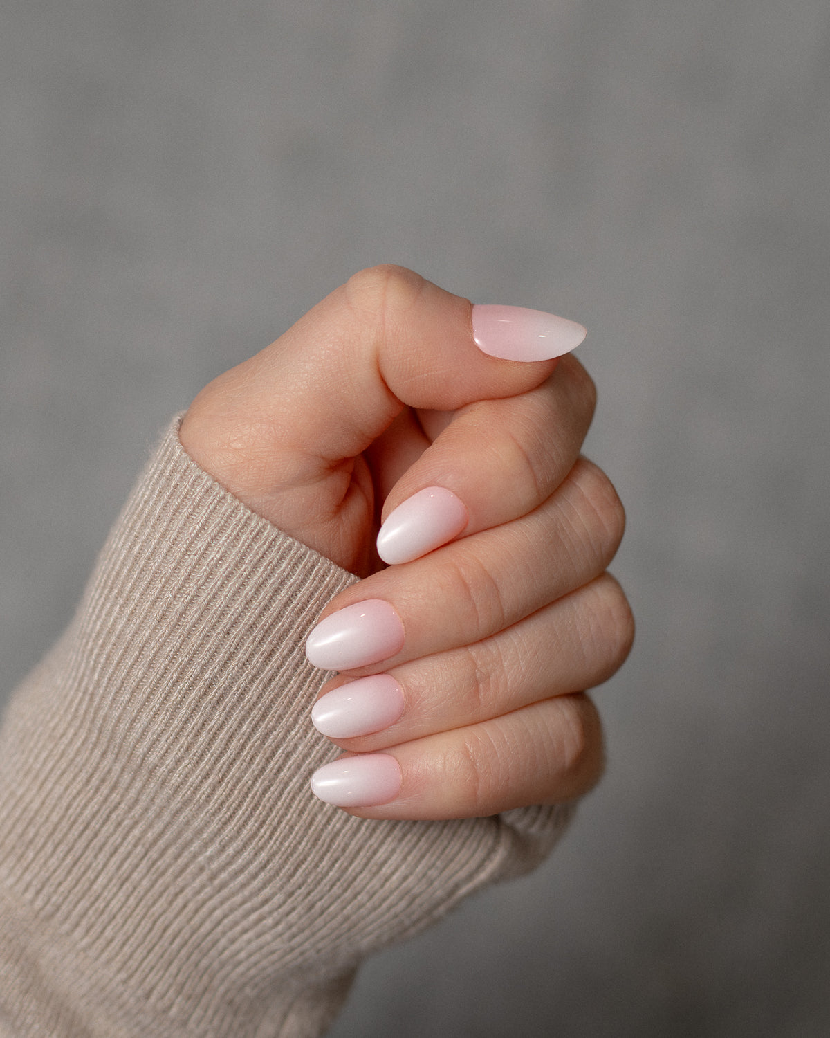 Soft Petal